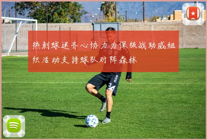 热刺球迷齐心协力为保级战助威组织活动支持球队对阵森林